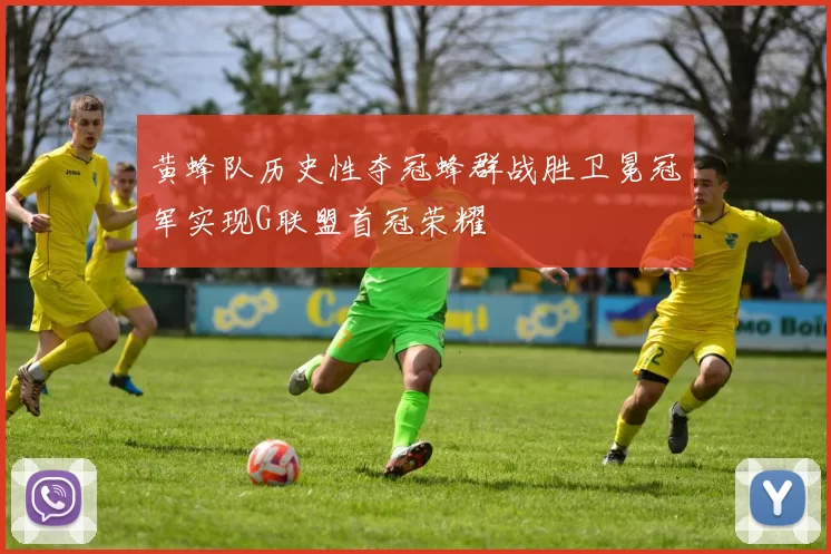 黄蜂队历史性夺冠蜂群战胜卫冕冠军实现G联盟首冠荣耀
