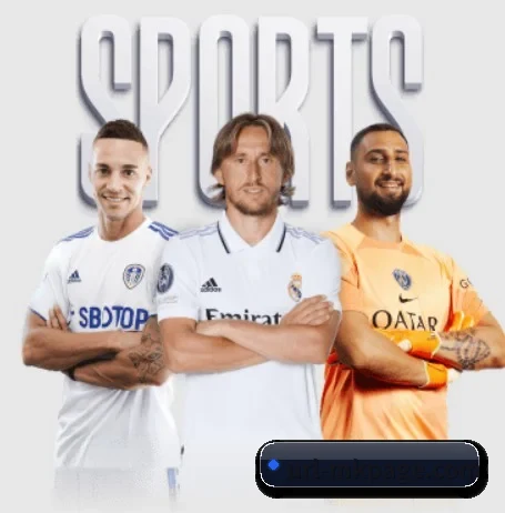 MK体育 APP 深度功能 | mksport